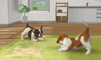 Nintendogs Plaza