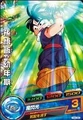 Gohan Heroes 14