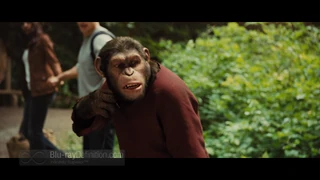 Rise of the Planet of the Apes09.jpg
