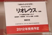 Revoltech WWF2012 07
