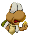 Koopa Krag