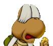Koopa Krag2