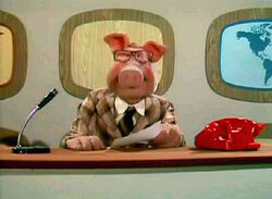 Character.newspig