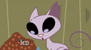 Gallery-Kat-14 (180)