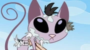 Gallery-Kat-14 (205)
