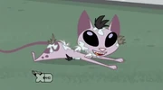 Gallery-Kat-14 (201)