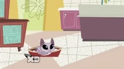 Gallery-Kat-14 (215)