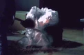 Embryo