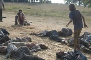 Twd-s2-melissa-mcbride-norman-reedus