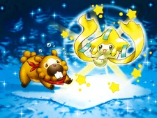 Bidoof's Wish