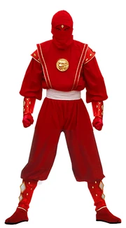 Mmpr-redninja