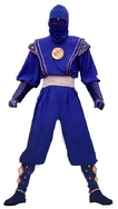 Mmpr-blueninja
