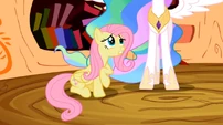 Fluttershy confess S02E03