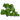 Kelp-icon