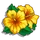 Yellow Hibiscus-icon