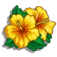Yellow Hibiscus-icon