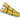 Golden Sugar Cane-icon
