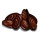 Mussel-icon