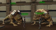 Dewbacks