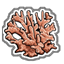Coral-icon.png