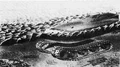 TV8TankBoat.jpg