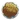 Stony Coral Piece-icon