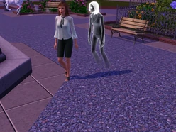 Stalk