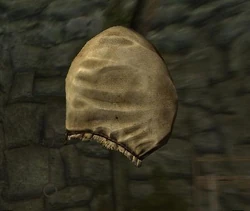 Execution hood