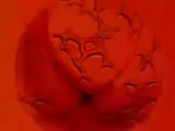 204 20120226-17542908
