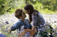 E- Meadow 2
