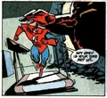 Flash John Fox 004