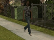 PeatoneSA7