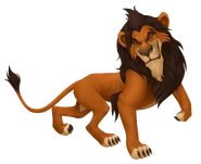 Scar