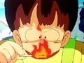 DragonBallSpecial21
