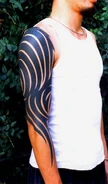 http://stormcrowtattoo.com/leo_rt