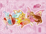Winx-enchantix-bloom-stella-flora-the-winx-club-6730592-800-600