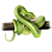 Item greentreepython 01