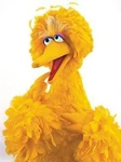 BigBirdPose