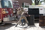 Episode-10-shane-walkers