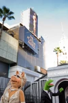 AcademyAwards2012c