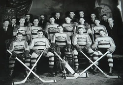 35-36SFMicMacs