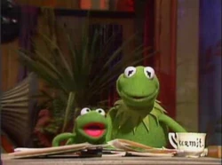 409 frog opera