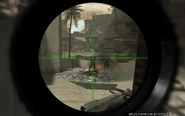 PSG-1 Camo Scope