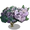 Sapphire Dragon Tree-icon