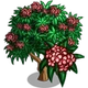 Red Plumeria Tree-icon