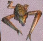 BatC.jpg (7 KB)