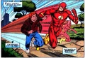Flash 0070