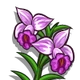 Bamboo Orchid-icon