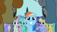 Rainbow Dash enjoying cheers S2E8