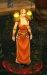 Flame warden